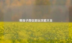 带孩子西安游玩攻略大全