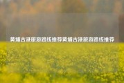 黄埔古港旅游路线推荐黄埔古港旅游路线推荐