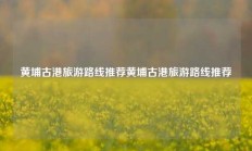 黄埔古港旅游路线推荐黄埔古港旅游路线推荐
