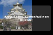 惠州海边旅游景点门票价格惠州海边的美丽风景与独特魅力