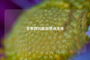 冬季四川旅游景点大全