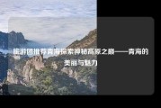 旅游团推荐青海探索神秘高原之巅——青海的美丽与魅力