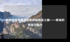 旅游团推荐青海探索神秘高原之巅——青海的美丽与魅力