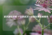 武汉游玩攻略 一日游武汉一日游玩转古城精华