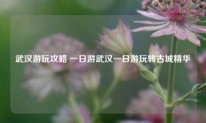 武汉游玩攻略 一日游武汉一日游玩转古城精华