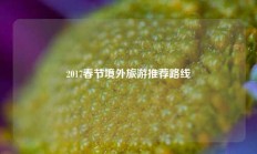 2017春节境外旅游推荐路线