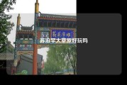 苏泊罕大草原好玩吗