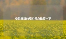 安徽好玩的旅游景点推荐一下