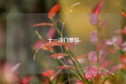 十一冷门景区