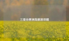 三亚分界洲岛旅游攻略