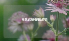 青岛旅游时间推荐表