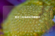 阳江三山岛游玩攻略图片