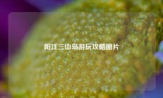 阳江三山岛游玩攻略图片
