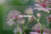 西北旅游景区