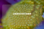 法国旅游攻略住宿推荐