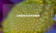 云南旅游当地导游推荐