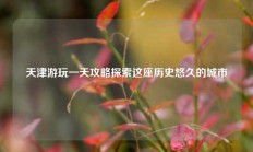 天津游玩一天攻略探索这座历史悠久的城市