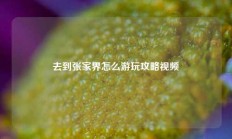 去到张家界怎么游玩攻略视频