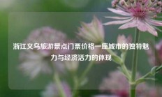 浙江义乌旅游景点门票价格一座城市的独特魅力与经济活力的体现