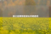浙江省博物馆游玩攻略路线