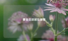 赛金花故居在哪里