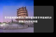 冬天盐城旅游景点门票价格探索冬季盐城的冰雪魅力与文化风情