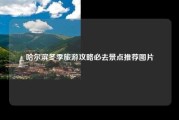 哈尔滨冬季旅游攻略必去景点推荐图片