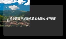 哈尔滨冬季旅游攻略必去景点推荐图片