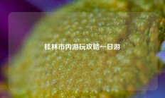 桂林市内游玩攻略一日游