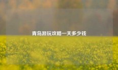青岛游玩攻略一天多少钱