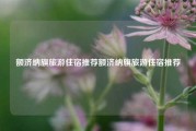 额济纳旗旅游住宿推荐额济纳旗旅游住宿推荐