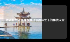 西双版纳旅游推荐度热带雨林之下的秘境天堂