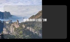 森鑫森林公园门票