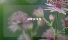 101旅游推荐
