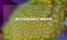 阳江乡村旅游景点门票价格表