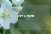 玉龙雪山过年门票