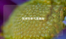 贺州冬季气温查询