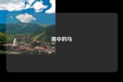 雨中的马