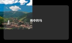 雨中的马
