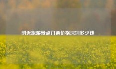附近旅游景点门票价格深圳多少钱
