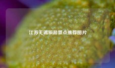 江苏无锡旅游景点推荐图片