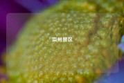 崇州景区