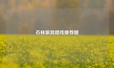 石林旅游路线推荐图