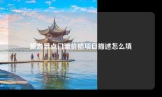 旅游景点门票价格项目描述怎么填