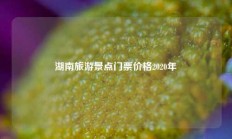 湖南旅游景点门票价格2020年