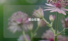 瑶山在哪