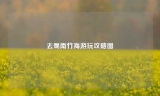 去蜀南竹海游玩攻略图