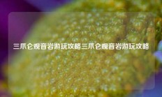 三爪仑观音岩游玩攻略三爪仑观音岩游玩攻略