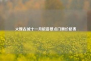 大理古城十一月旅游景点门票价格表