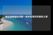 秘宝迷踪游玩攻略一场寻觅奇珍的冒险之旅